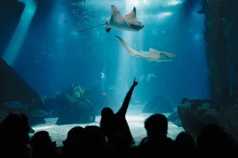 Qual época mais quente em Balneário Camboriú?